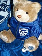 OFFICIAL-AFL-PREMIERSHIP-BEAR-2009-NEW-GEELONG-CATS-29-cm-COLLECTORS-ITEM